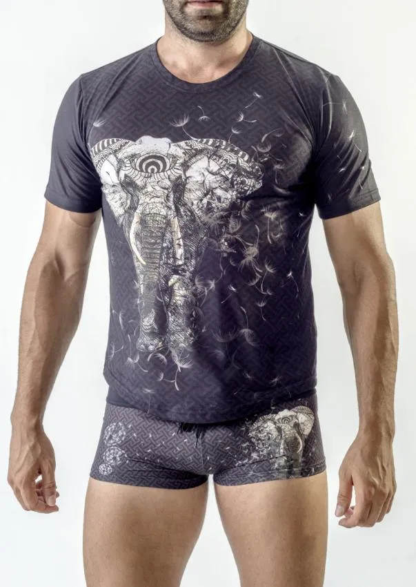 Men T-shirt short sleeve 1704t3